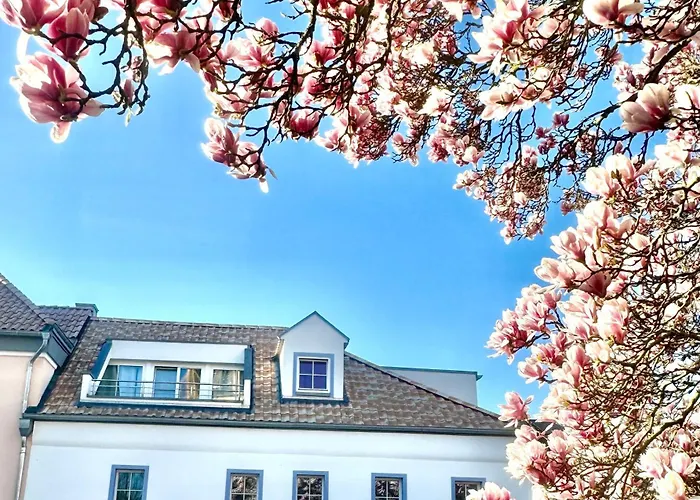 Charmantes Haus Naehe Bonn Koeln Messe Phantasialand Appartement Bornheim (Rheinland)